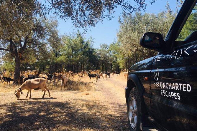 Rhodes Uncharted South Safari: Mountains, Monasteries, & Flavors - Visiting Apolakkia and Reflecting on the Day