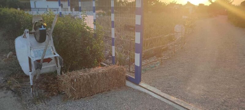 Rhodes:Explore the farm's paths & discover aloe vera & herbs - Aloe Vera: The Heart of the Farm Experience