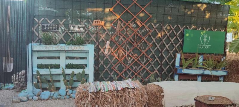 Rhodes:Explore the farm's paths & discover aloe vera & herbs - Tasting Fresh Aloe Vera and Seasonal Fruits