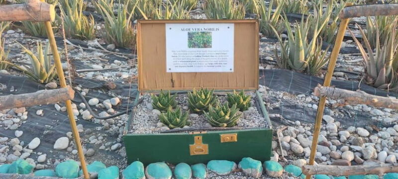 Rhodes:Explore the farm's paths & discover aloe vera & herbs - Practical Details: Meeting Point, Timing, and Group Size