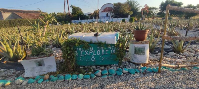 Rhodes:Explore the farm's paths & discover aloe vera & herbs - Value and What’s Not Included