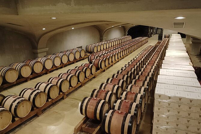 Rhône Valley Wine & Chocolate Tasting Private Day Tour from Lyon - Exploring Côte-Rôtie: The Most Coveted Appellation