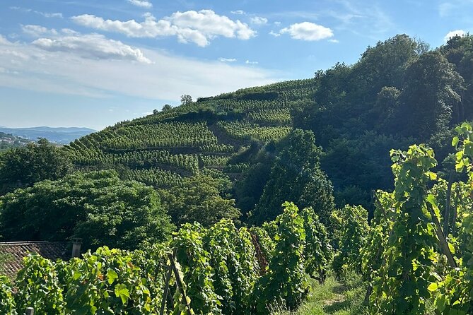 Rhône Valley Wine & Chocolate Tasting Private Day Tour from Lyon - Transport and Logistics: Comfort and Convenience