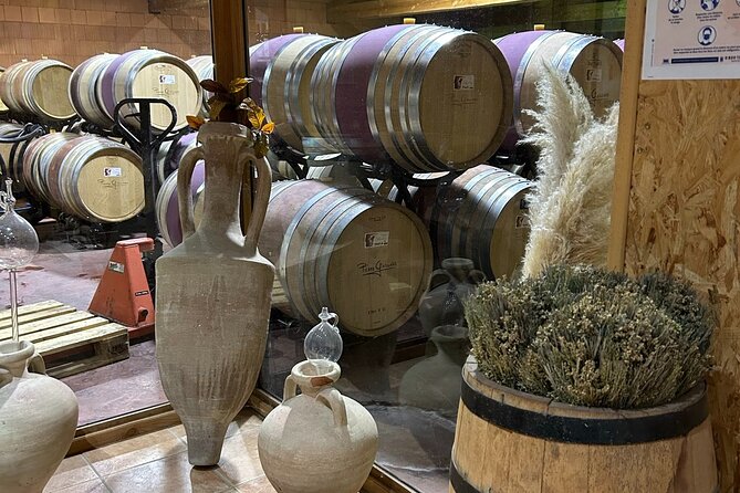 Rhône Valley Wine & Chocolate Tasting Private Day Tour from Lyon - The Experience & Unique Features