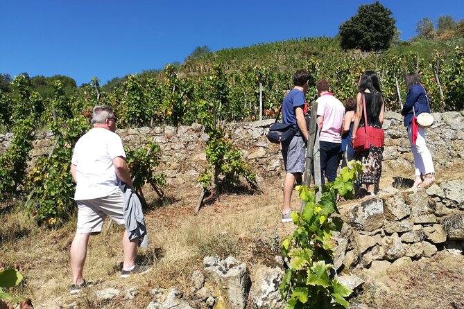 Rhône Valley Wine & Chocolate Tasting Private Day Tour from Lyon - Final Thoughts on the Rhône Valley Private Day Trip