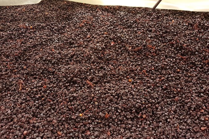 Rhône Valley Wine Tasting Private Day Tour from Lyon - Why This Tour Stands Out in the Rhône Valley