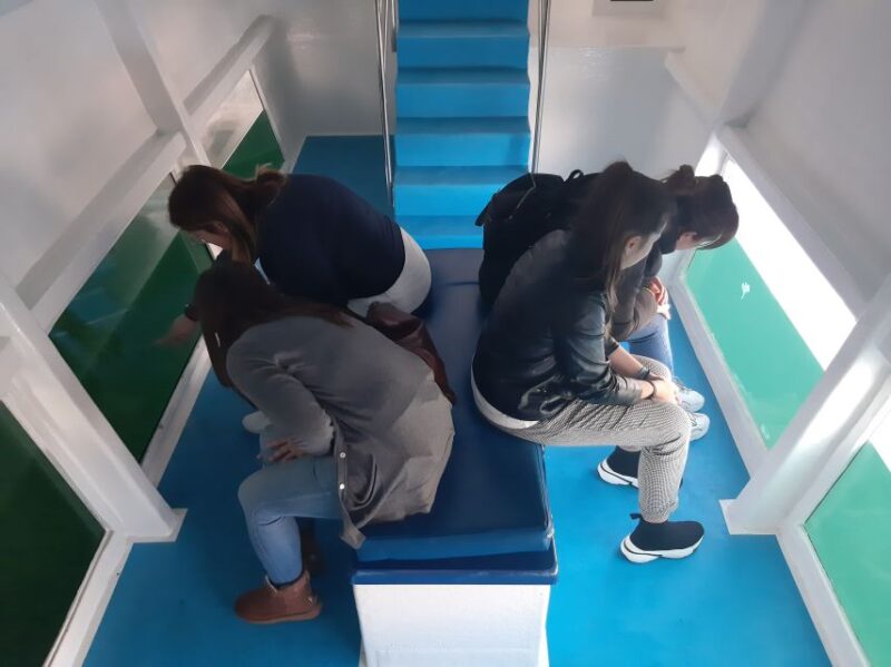 Ría de Arousa: Boat Ride to Mussel Farm with Tasting - Visiting Mussel Cultivation Parks (Bateas)