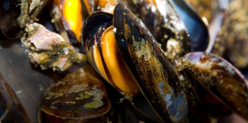 Ría de Arousa: Boat Ride to Mussel Farm with Tasting - Underwater Viewing of the Sea Bed