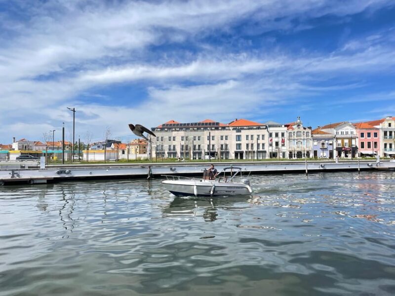 Ria de Aveiro Wakeboard Experience - Ria de Aveiro Wakeboard Experience: An Exciting Water Adventure in Portugal