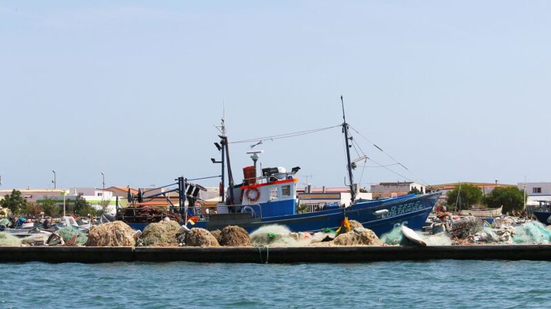 Ria Formosa: 2-Hour Fishermen Route Boat Tour - The Role of the Local Skipper in Enhancing the Experience