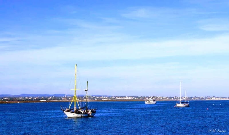 Ria Formosa 3 Islands Guided Day Trip by Boat - Olhão - Visiting Ilha do Farol: Photo Opportunities and Short Exploration