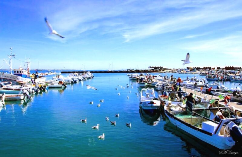 Ria Formosa 3 Islands Guided Day Trip by Boat - Olhão - Scenic Boat Cruises and Wildlife Spotting