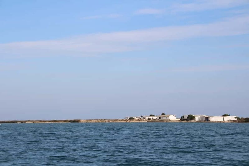 Ria Formosa 3 Islands Guided Day Trip by Boat - Olhão - The Experience of Sunsets and Final Views