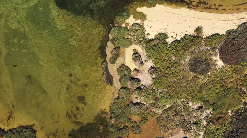 Ria Formosa: Armona and Culatra Islands 3-Hour Boat Tour - Exploring the Ria Formosa Natural Park