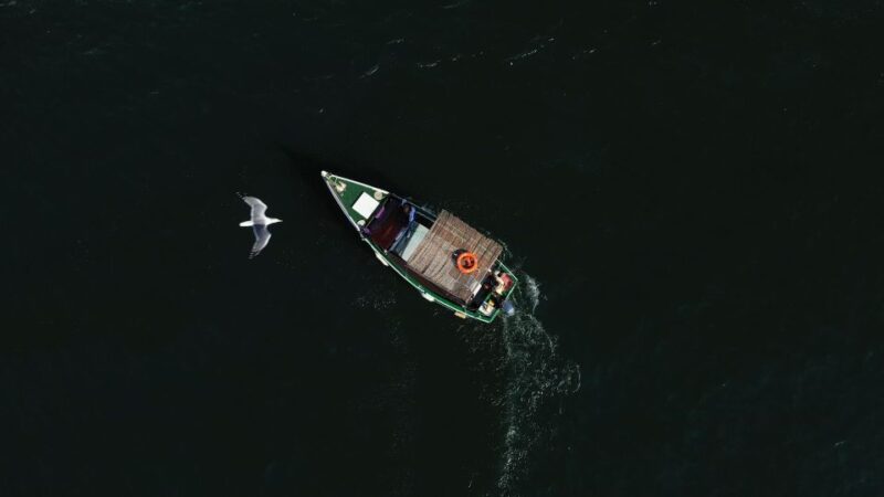 Ria Formosa: Armona and Culatra Islands 3-Hour Boat Tour - The Quality of Guides and Customer Service