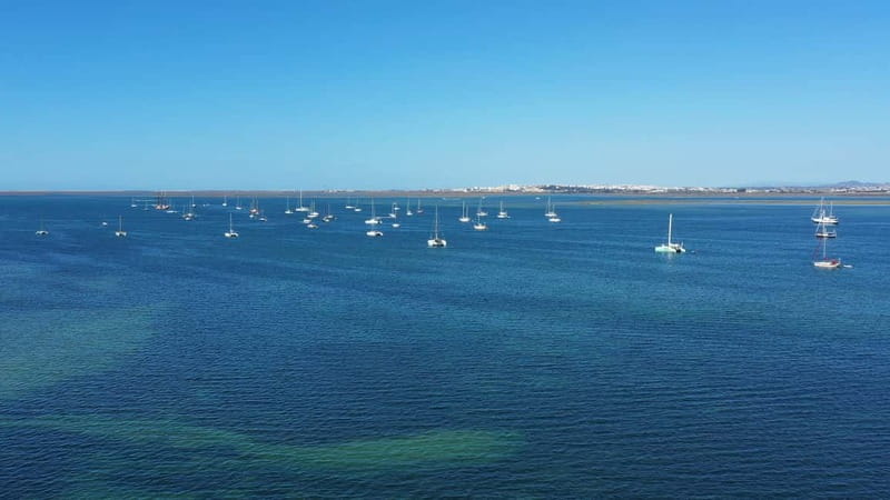 Ria Formosa: Armona and Culatra Islands 3-Hour Boat Tour - Weather Considerations and Tour Flexibility