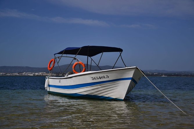 Ria Formosa - Boat trip to the 3 Islands: Armona | Culatra Island | Lighthouse - Discovering the Natural Wonder: Ria Formosa