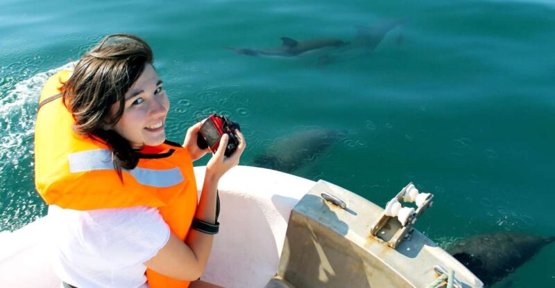 Ria Formosa: Dolphin-Watching Boat Tour - The Role of Guides and Their Language Skills