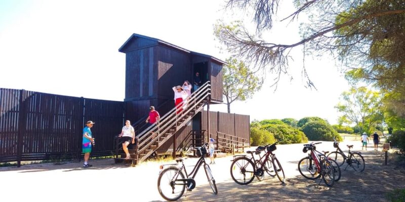Ria Formosa: Guided Bike Tour (3h), Início na Quinta do Lago - Exploring Salt Flats and Birdwatching Opportunities