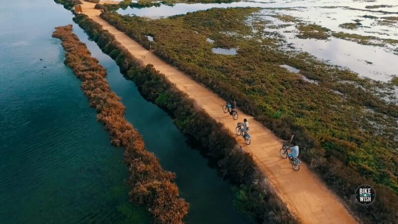 Ria Formosa: Guided Bike Tour (3h), Início na Quinta do Lago - Why This Tour Stands Out from Similar Experiences