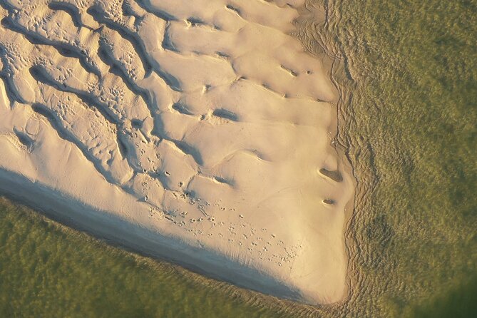 Ria Formosa & Ilhas: Private Tour for Two or in Group - Final Thoughts on the Ria Formosa & Ilhas Private Tour