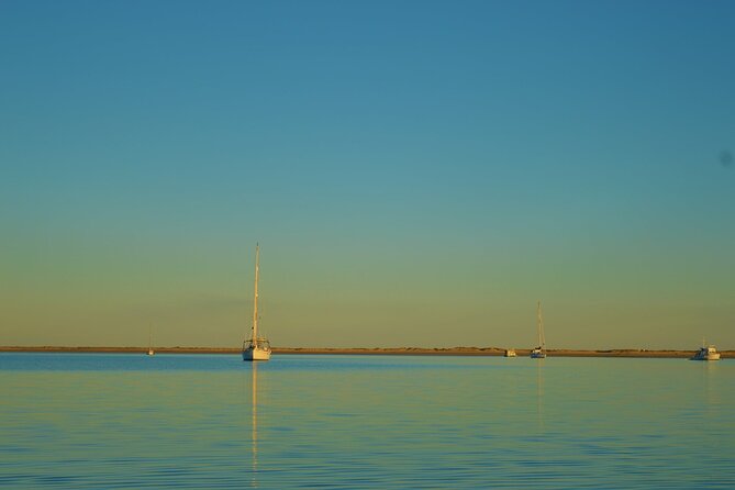 Ria Formosa & Ilhas: Sunset Boat Trip - The Experience Provider: ODYSSEY Traditional Boat Tours