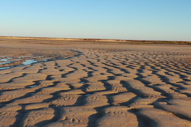 Ria Formosa & Islands : 2h00 Private Tour of Ria Formosa - How the Guide Enhances the Experience