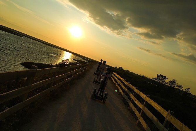 Ria Formosa Natural Park Birdwatching Segway Tour from Faro - Learning about the park’s ecology from expert guides