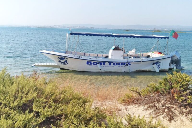 Ria Formosa: Sightseeing boat Tour from Olhão - Who Would Love This Private Ria Formosa Tour?
