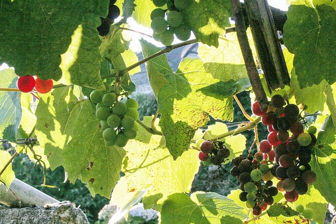 Rias Baixas PRIVATE Shore tour - Coastal Views and the Legend of Playa A Lanzada