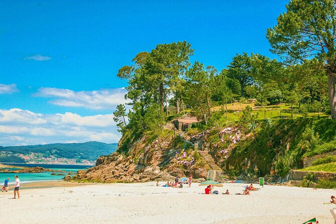 Rias Baixas PRIVATE Shore tour - Wine and Mussels: Tasting Experiences with Light Bites