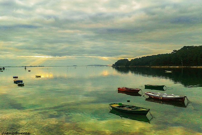 Rías Baixas Private Tour with Wine Tasing, Food, Mussels Boat and Pickup - Wine Tasting at a Local Bodega with Albariño
