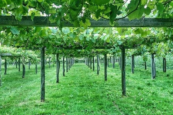 Rías Baixas Tour - Practical Aspects and Tour Logistics