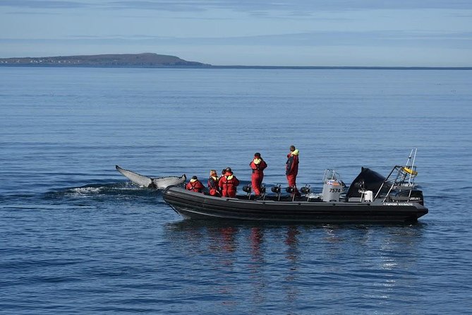 RIB boat express: Whales, Eyjafjord and Akureyri - Equipment and Safety Features on the RIB Boat