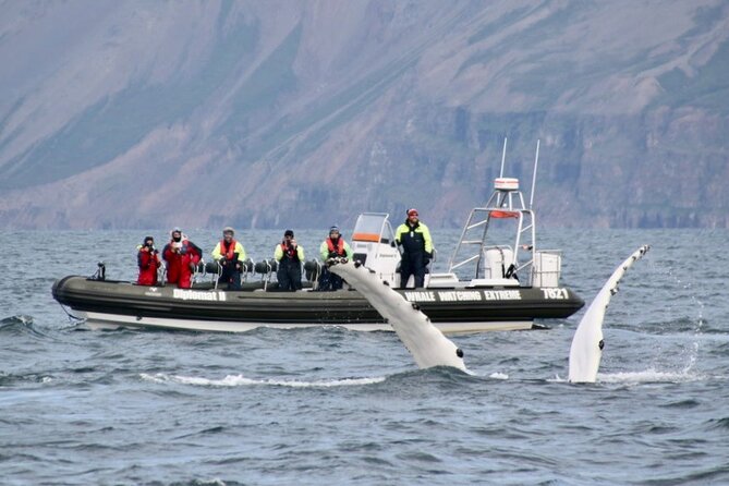 RIB boat express: Whales, Eyjafjord and Akureyri - Booking, Cancellation, and Weather Considerations