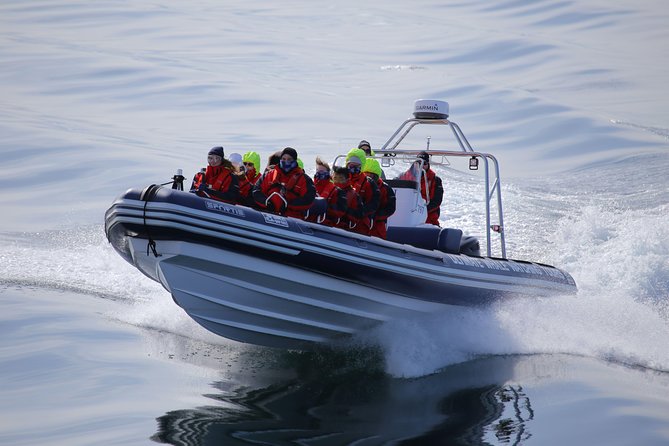 RIB boat express: Whales, Eyjafjord and Akureyri - Comparison with Other Whale Watching Options in Akureyri