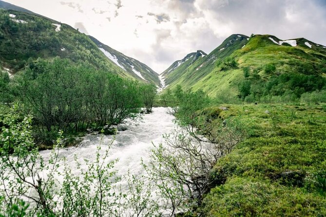 RIB Expedition to Seiland National Park - 3.5h - Reviews Highlighting the Tours Strengths