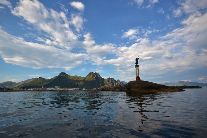 RIB Sea Eagle Safari Trollfjord Cruise - Practical Details and Booking Tips