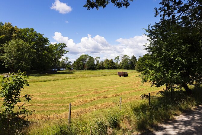 RIB Speed Boat Tour and Archipelago Island Visit (4,5h) - Practical Details: Logistics and Group Size