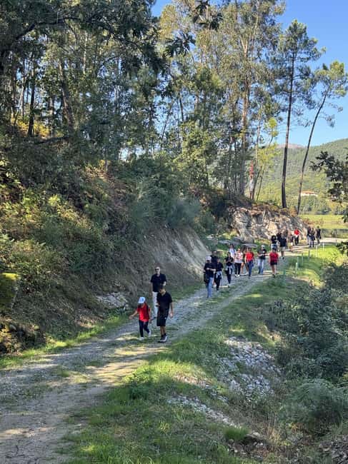Ribeira de Pena: The Abbot's Path Cultural Trail - Starting Point in Ribeira de Pena: Largo Igreja Matriz do Divino Salvador