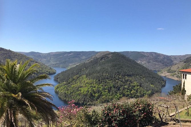 Ribeira Sacra From Lugo - Explore Galicias Ribeira Sacra with a 6-Hour Guided Tour