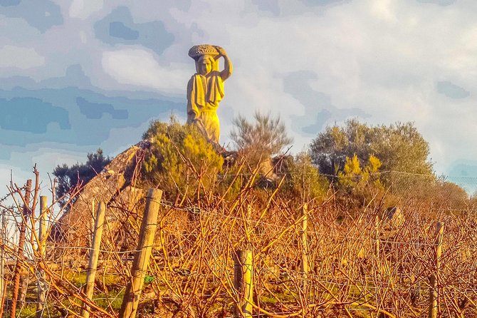 Ribeira Sacra, "Heroic Wines" Private Tour from Santiago - Logistics: Meeting Point and Tour Duration