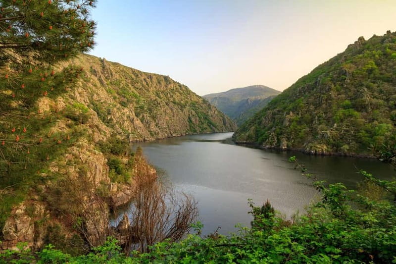 Ribeira Sacra & Ourense Day Tour with Catarmaran Cruise - Scenic Viewpoints Overlooking the Canyon Landscape