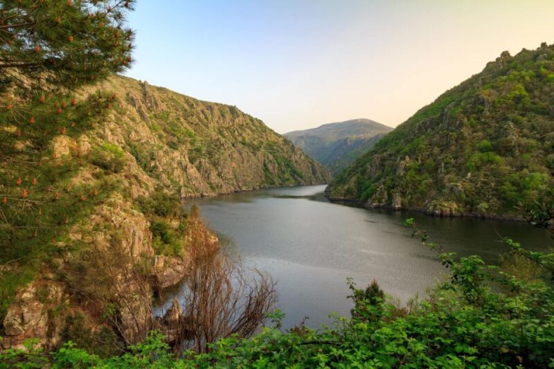 Ribeira Sacra & Ourense Day Tour with Catarmaran Cruise - Frequently Asked Questions