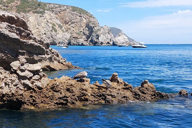 Ribeiro do Cavalo Beach Taxi Boat Transfer Round Trip - Who Should Choose This Boat Transfer?