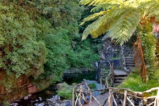 Ribeiro Frio - Portela - Explore Madeira’s UNESCO-listed Laurissilva Forest on a Guided Levadas Walk