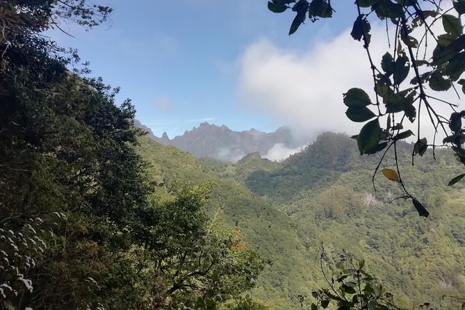 Ribeiro Frio - Portela - The Scenic Trail and Views of Madeira’s Peaks and Coastline