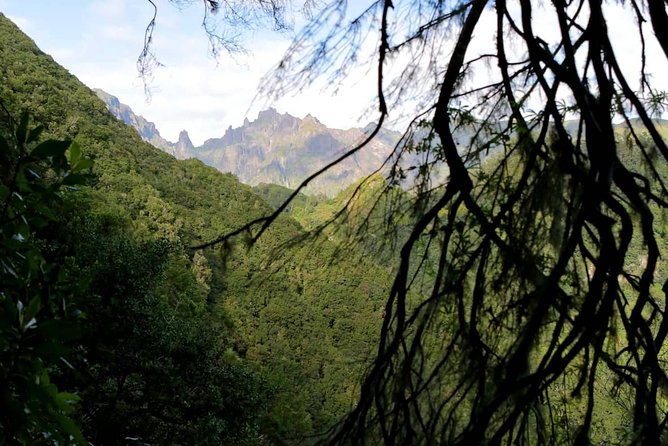Ribeiro Frio - Portela - A Flexible Walk Adapted to Weather Conditions