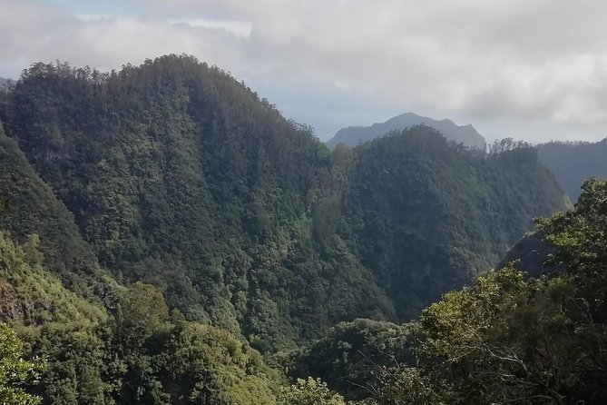 Ribeiro Frio - Portela - Unique Highlights: Birdwatching and Vegetation Diversity