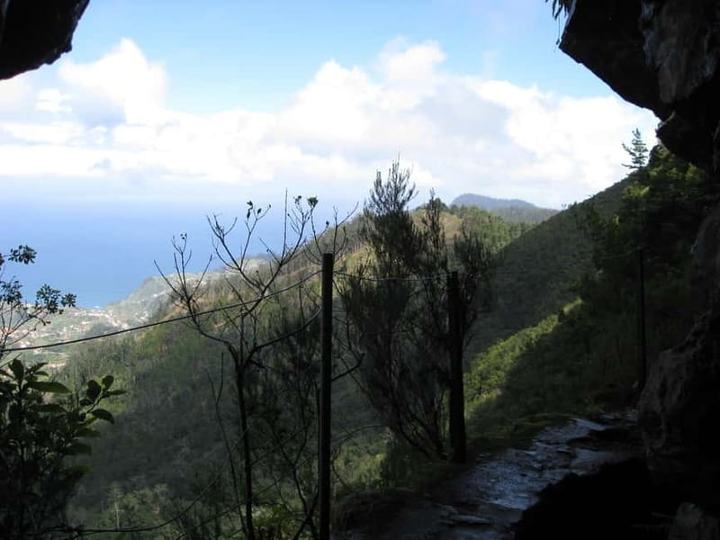 Ribeiro Frio / Portela Full day hike - Madeiras Most Famous Levada Walk Begins at Your Hotel Pickup